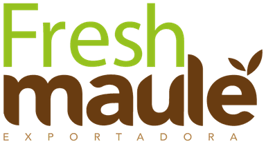 Fresh Maule Exportadora